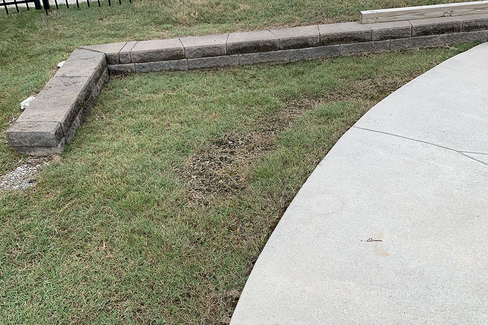 Landscaping Flower Bed
